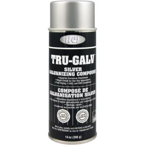 78-65017 TRU GALV Silver Galvanize Paint 14 OZ Can