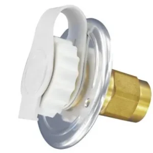 City Water Intake with Check Valve