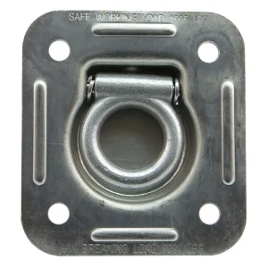 Heavy Duty D-Ring